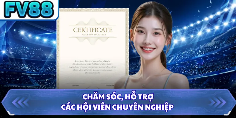 Giấy Phép Hoạt Động DN88 4 Chăm sóc, hỗ trợ các hội viên chuyên nghiệp